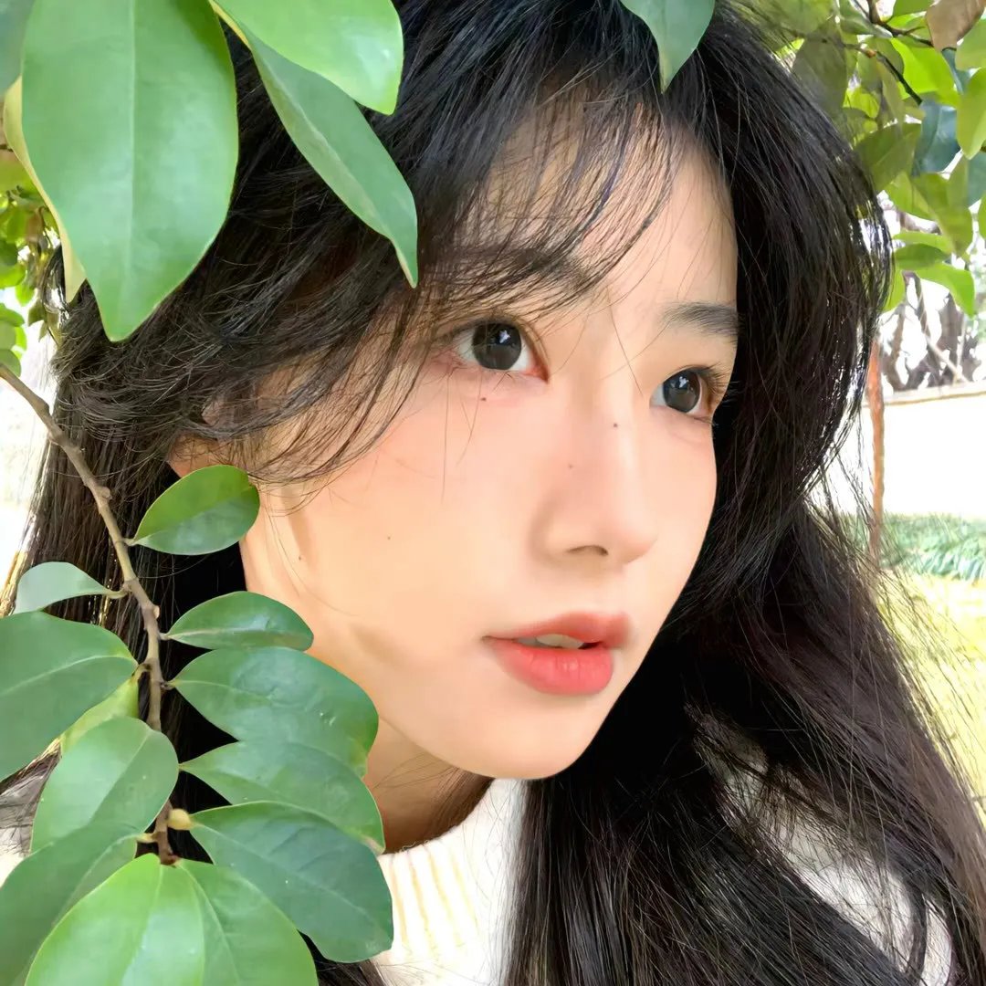 过气校园明星