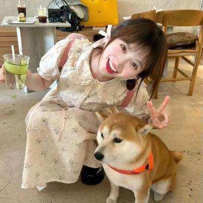 乱世美人