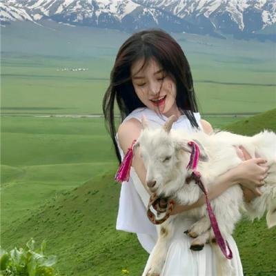 痞子逛沙漠